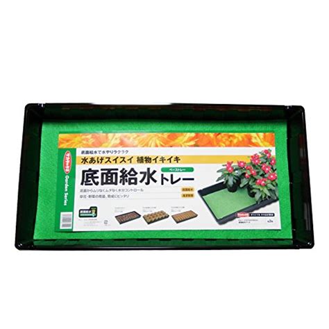 腰水|腰水とは？その意味・役割や方法をご紹介！底面給水との違い。